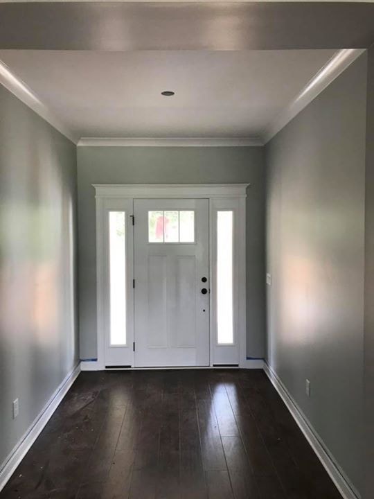 Craftsman entry door with sidelights, dark hardwood floors and crown molding